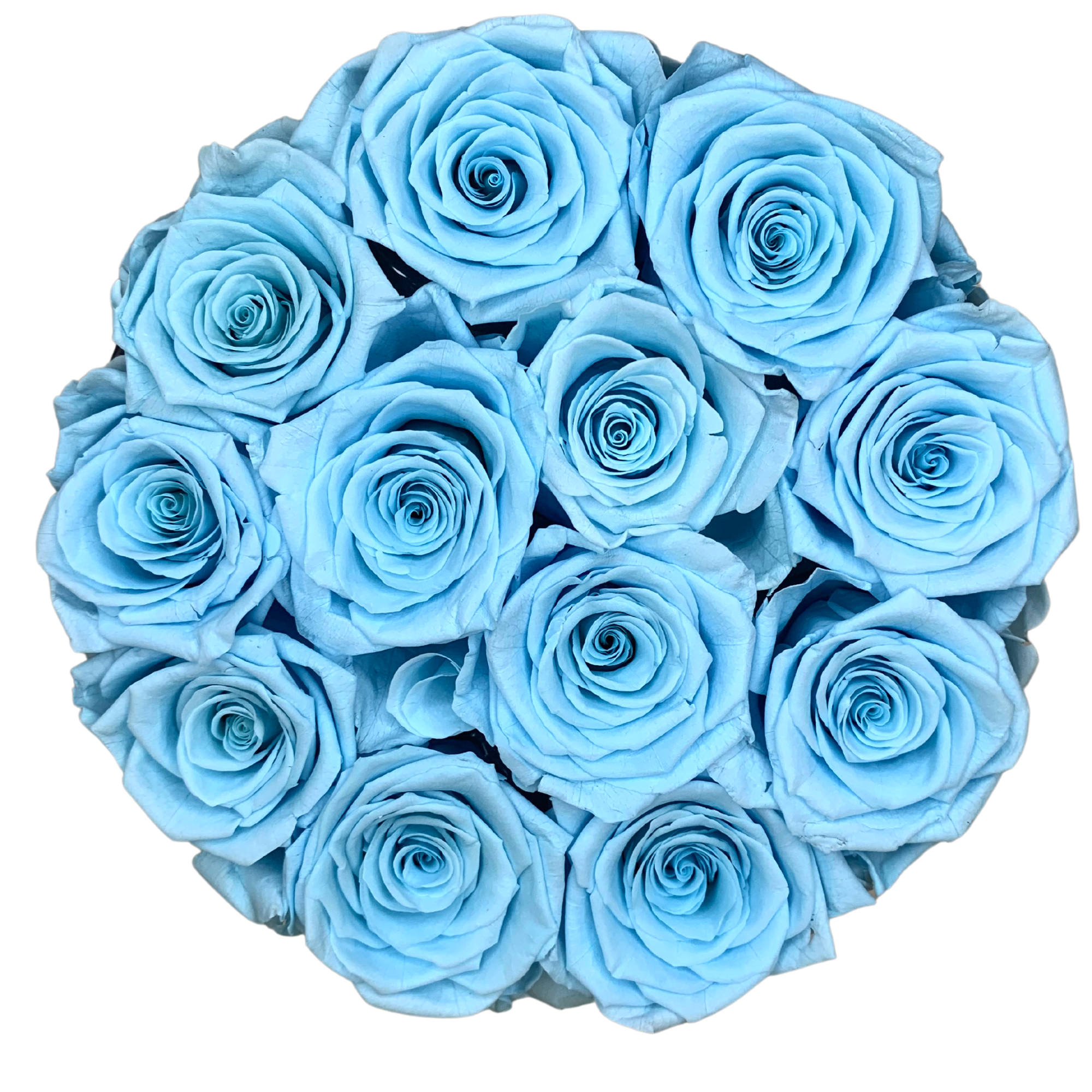 verona home and gift - Wholesale Dried/Pressed Flowers - 12 Real Preserved Roses that Last Forever In Round Box6