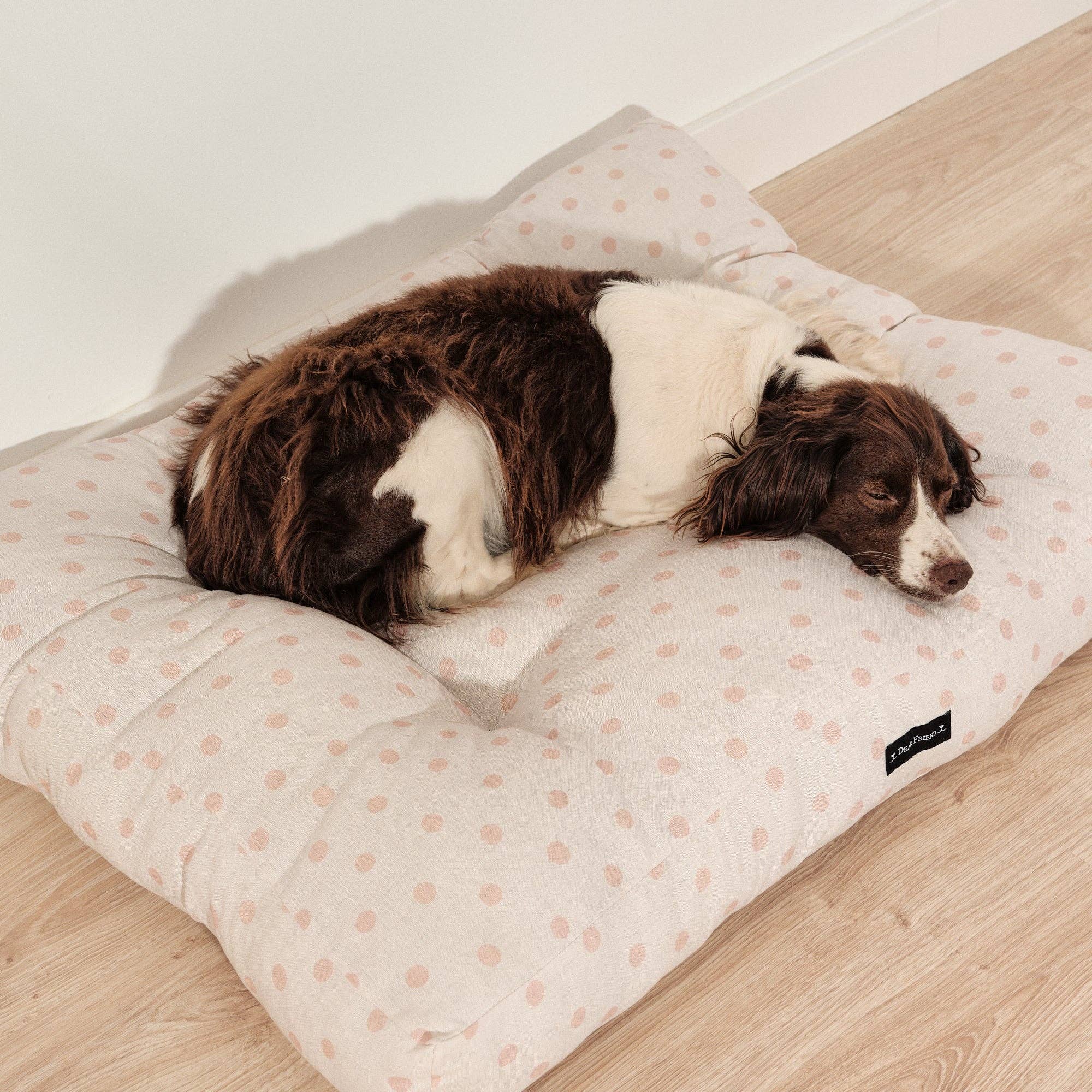 SG HOGAR – cama - Gato e cão por atacado – Cama acolchoada de algodão resistente a manchas para cães e gatos 0120-1782