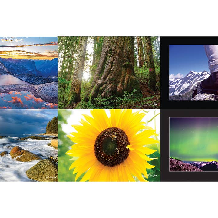 Spannende und erhebende Sammlung mit 12 verschiedenen Karten für den Großhandel von WildArt Photography Greeting Cards