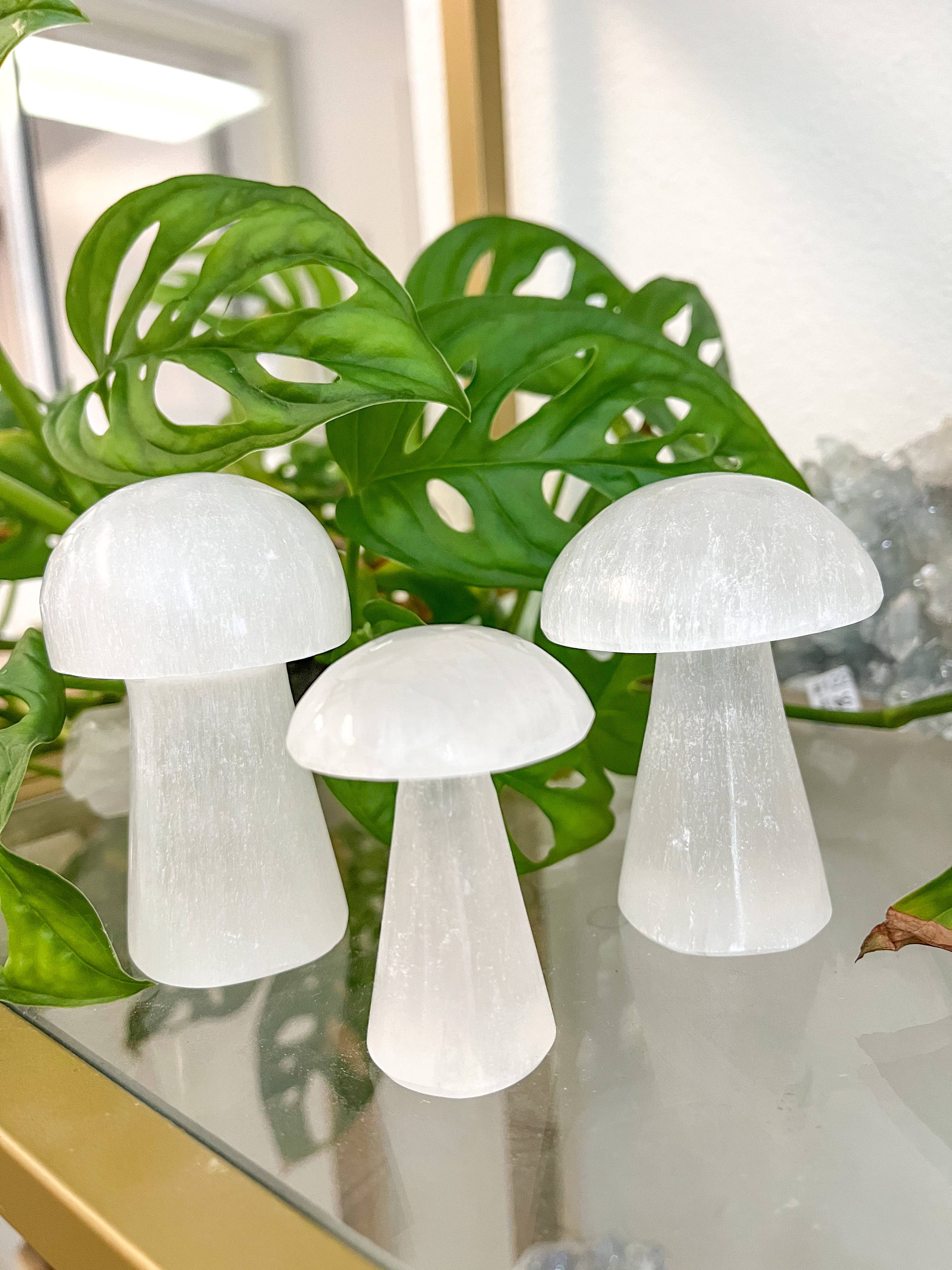 Fractalista Designs - Wholesale Spiritual Stone/Crystal - $3 White Selenite Crystal Mushroom Decor Mother's Day Gift3