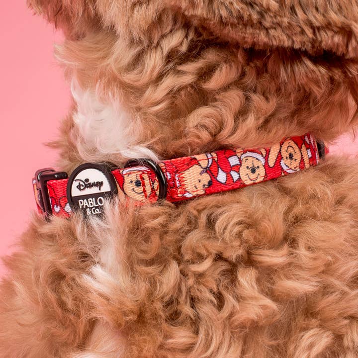 Pablo & Co. Boutique – coleira - Cão por atacado – Winnie the Pooh Christmas: Coleira de Cão0