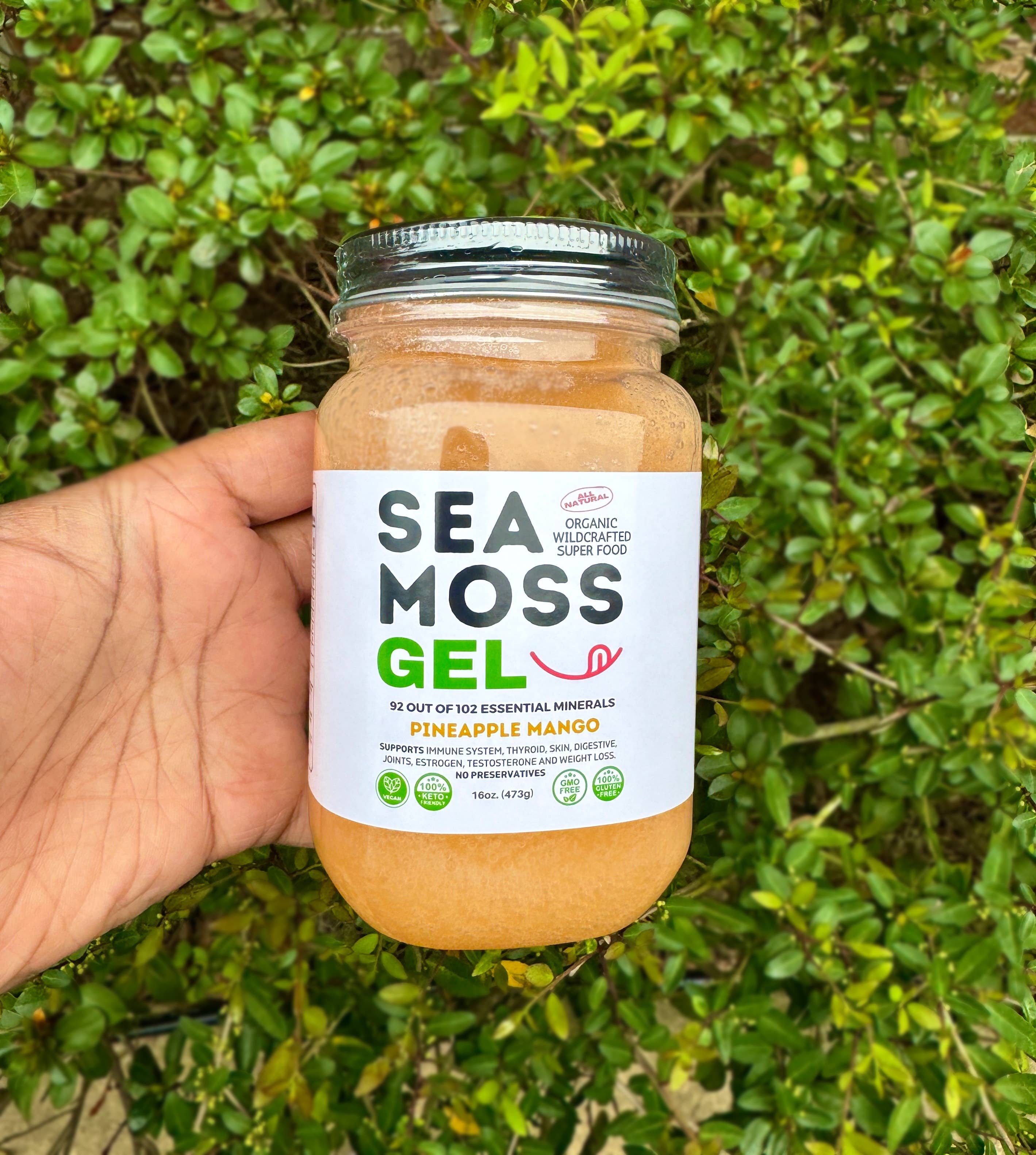 Grind Naturally Organics - Venta al por mayor Suplementos/vitaminas para beber - Mejor Gel de Musgo Marino - Inspirado por Dr. Sebi 100% Orgánico Crudo6