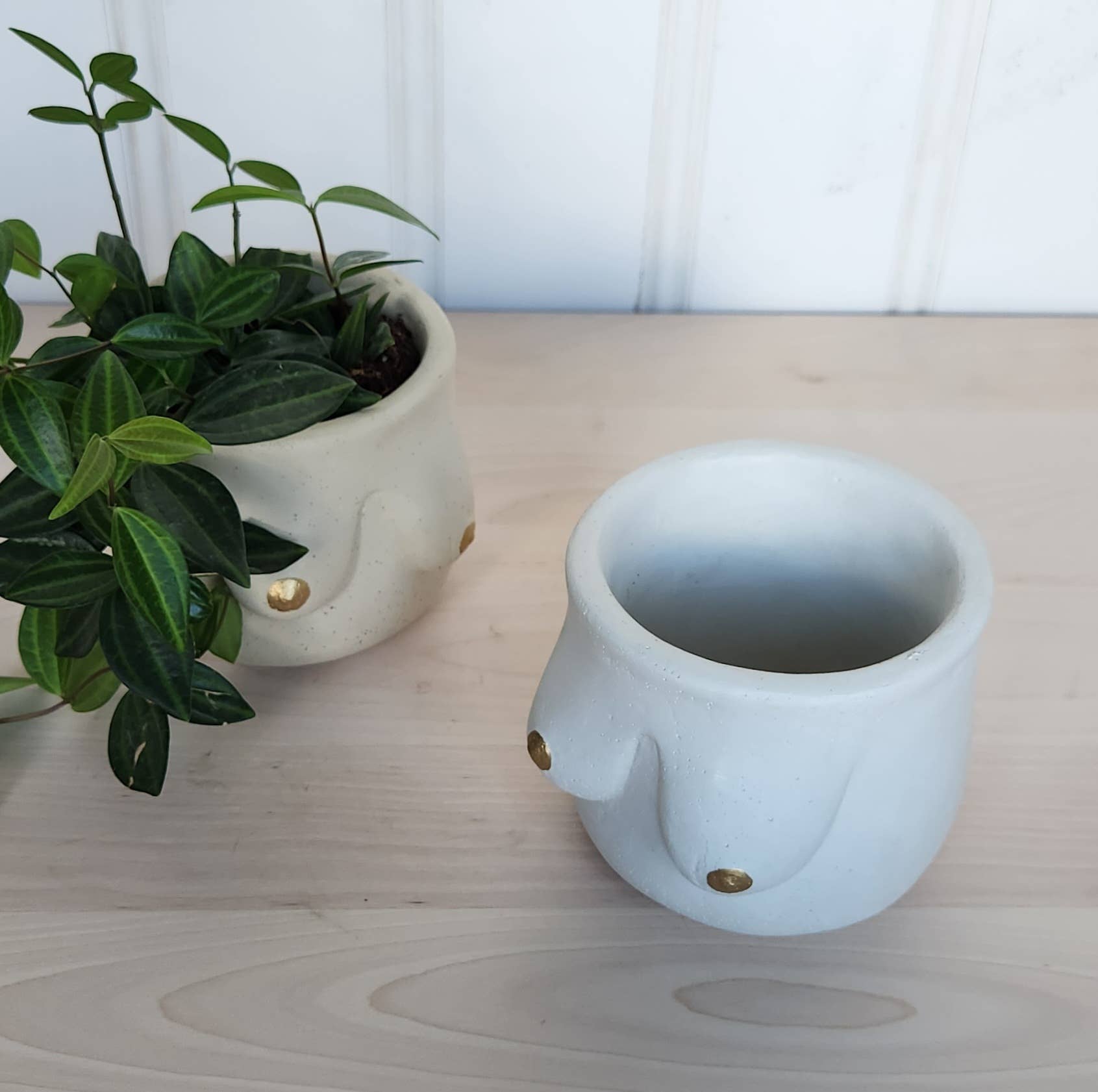 Plant 'er Here - Wholesale Plant Pot - Golden Boob Pot3