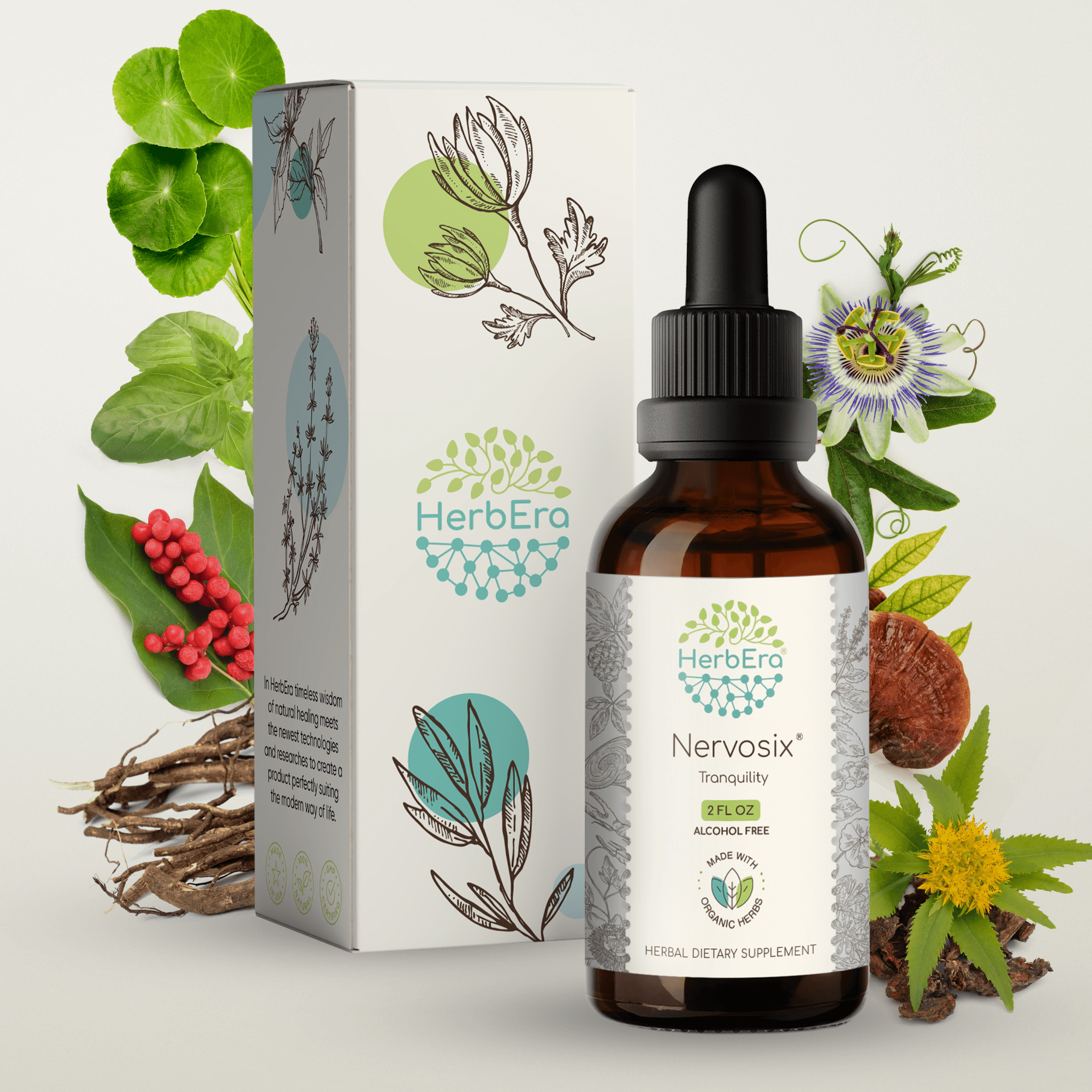 HerbEra - Wholesale Tincture - Nervosix Tincture17