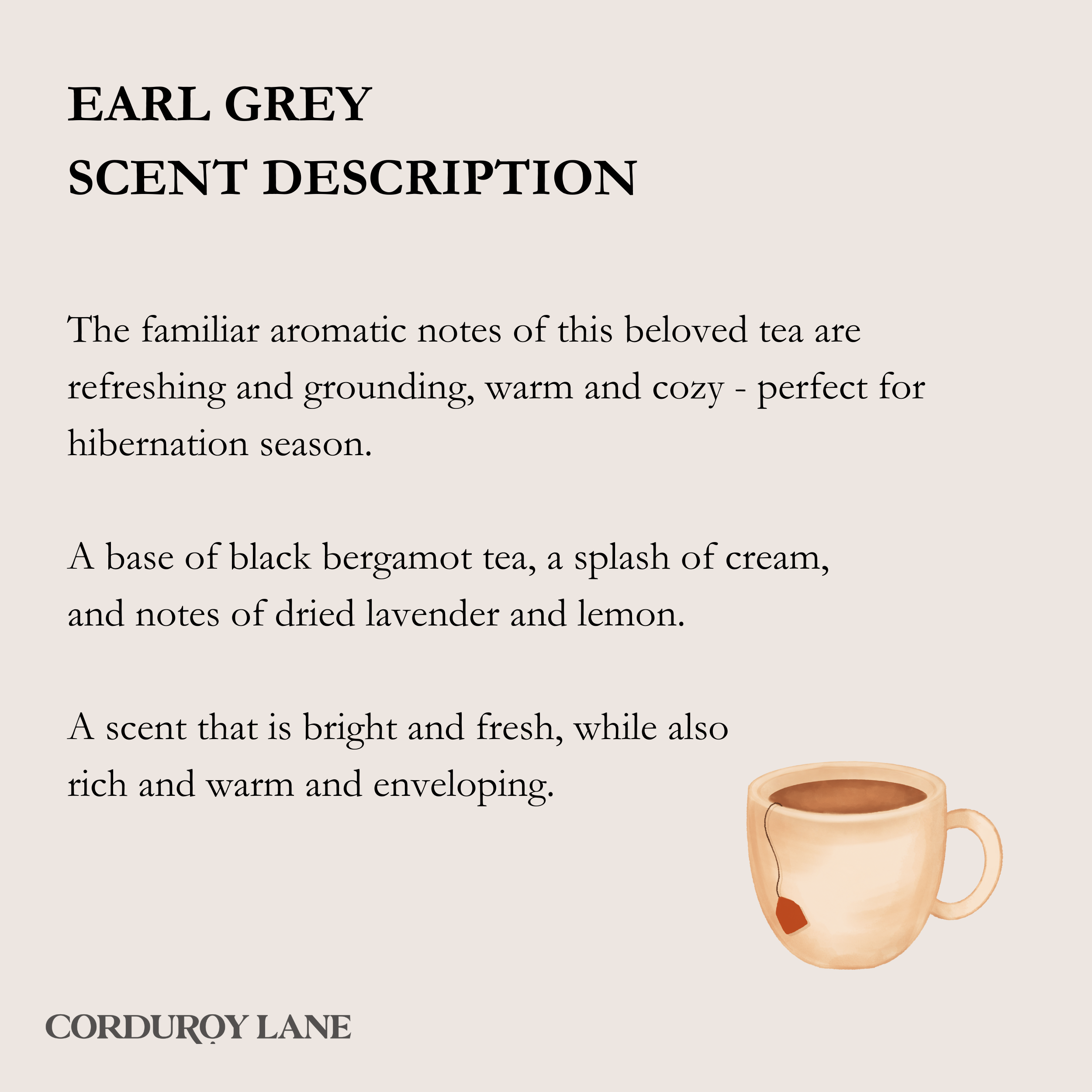 Corduroy Lane Candle Co - Wholesale Jar/Filled Candle - Earl Grey Scented Apothecary Candle1