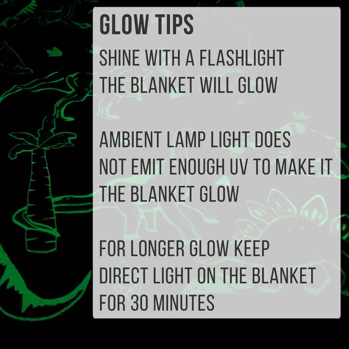 Imagery Socks - Wholesale Bedding Blanket - Kids & Baby - Glow in the Dark Dinosaur Blanket