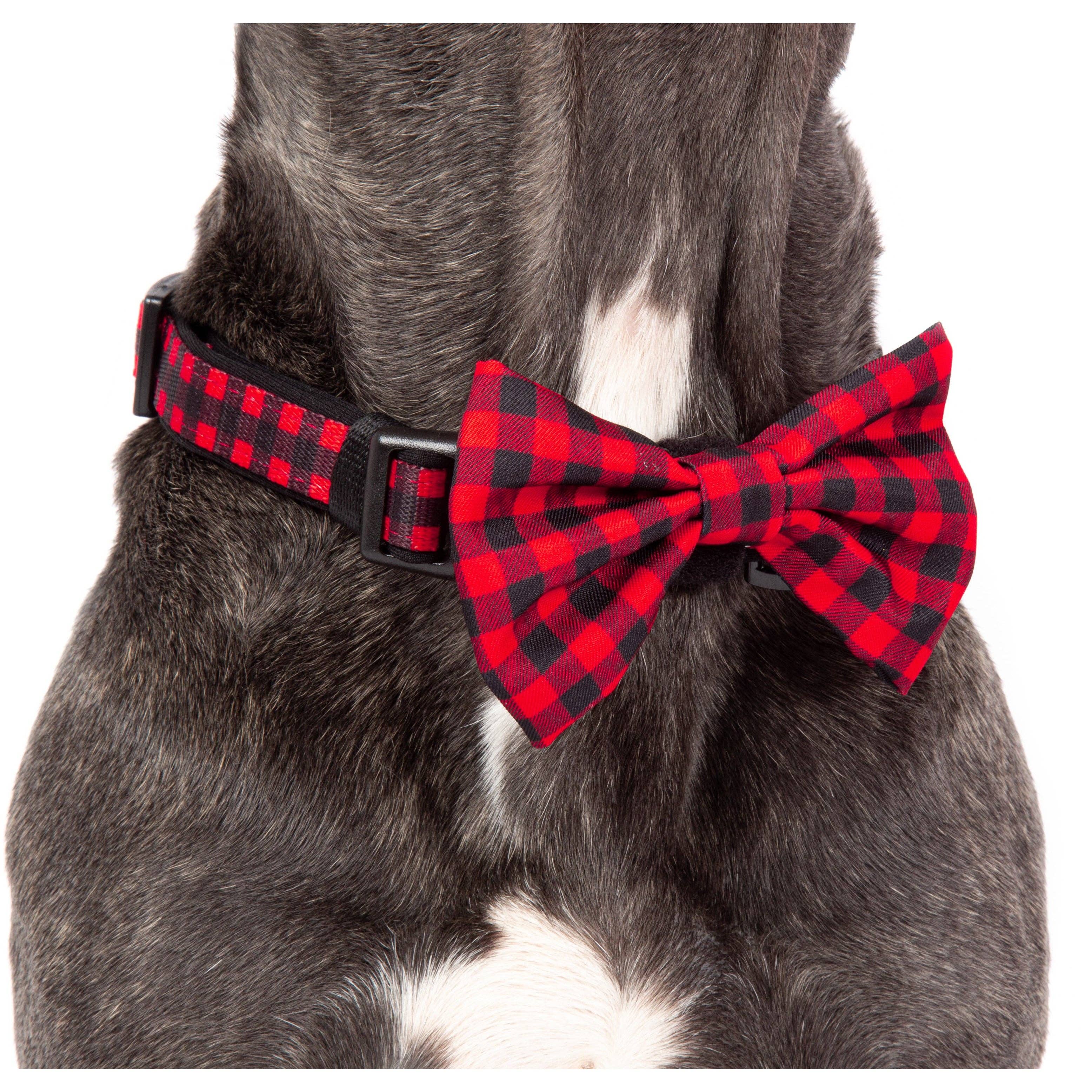 Big and Little Dogs - Vente Nœud papillon – chien - COLLIER ET NŒUD PAPILLON POUR CHIEN : Plaid to the Bone4