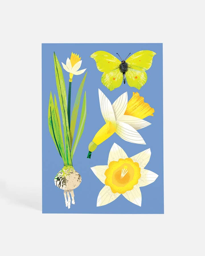 Daffodils and Butterflies | Postcard for wholesale by Sunny Beast