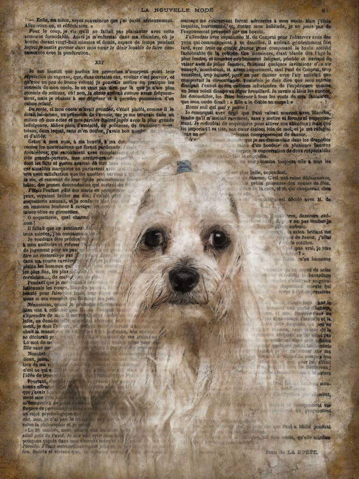 Cartel de pared de madera de papel vintage maltés 16 x 12» para venta al por mayor de The Shizzle Print Co