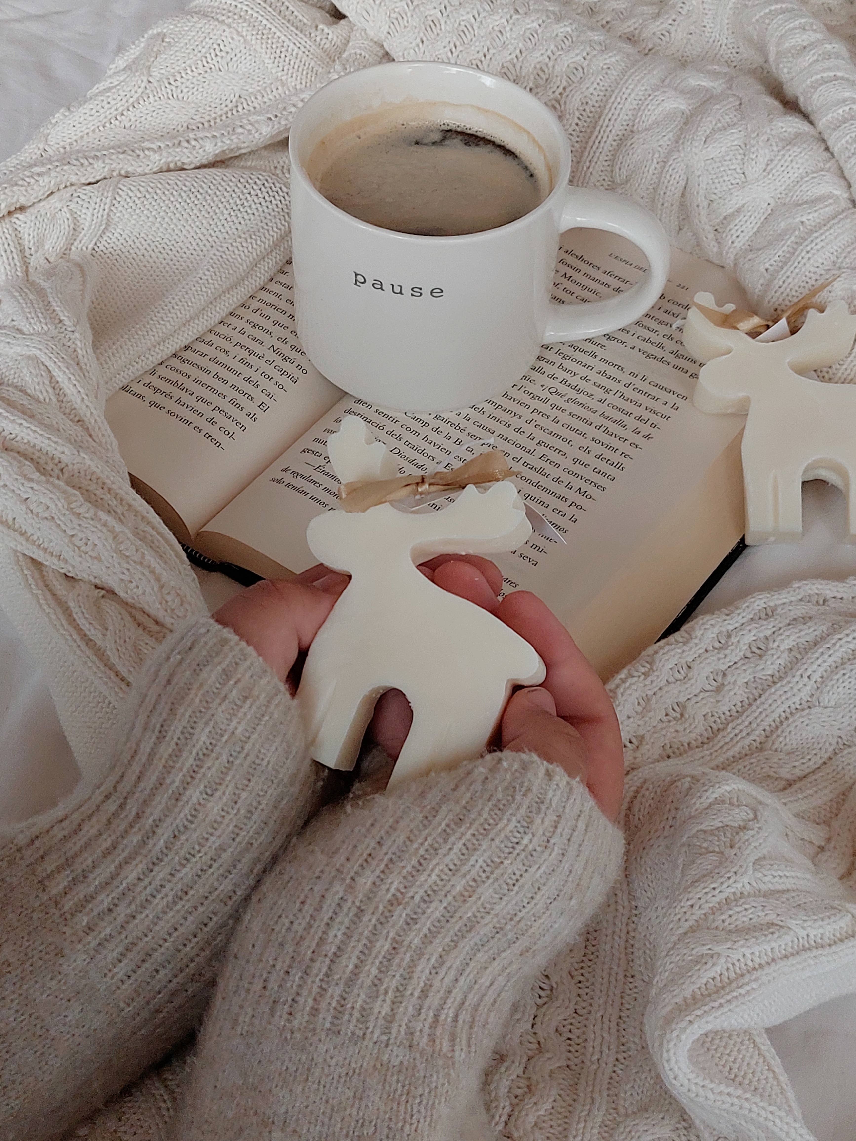 Your Nice Things - Candles - - Wholesale Novelty Candle - Reindeer Soy Wax Christmas Candle3