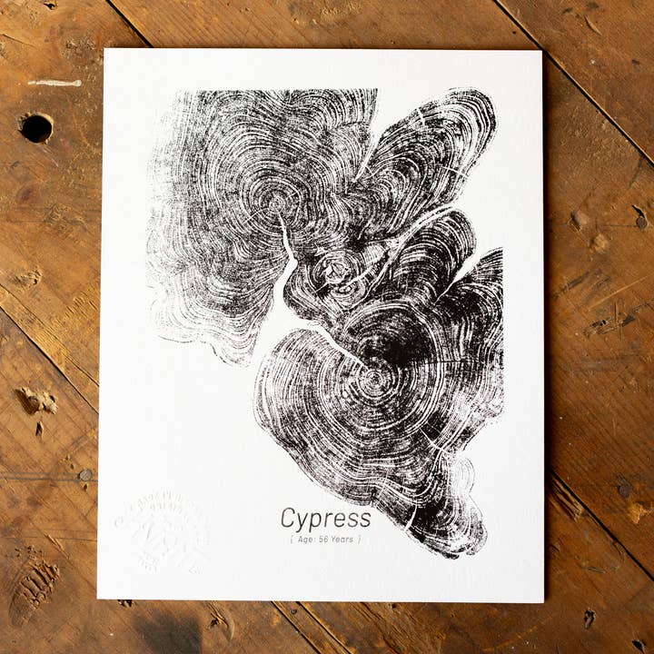 "Cypress 56" - Pequeño 8" x 10" - Serigrafía para venta al por mayor de HVRNT Studio