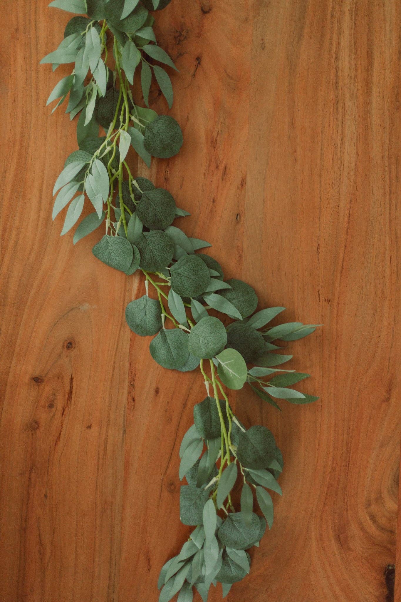 Eucalypt Co. - Wholesale Slingers - Eucalyptus + Zilveren Groene Wilg (kunstmatig)1