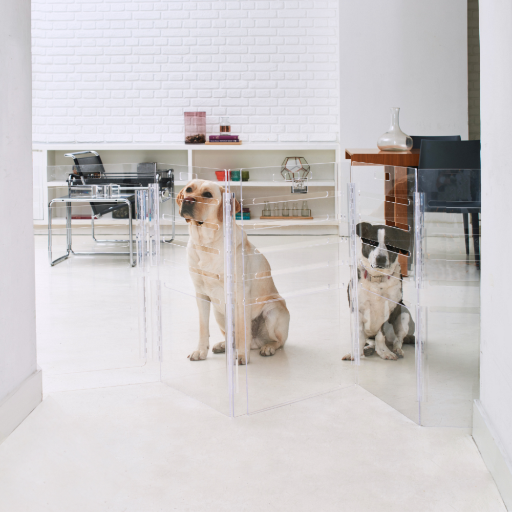 Hiddin - Wholesale Pet Carrier - Dog - Small Crate (Gold Latch)37