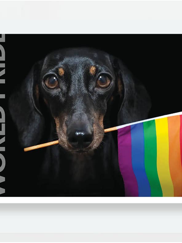 World Pride for wholesale by Tribal Message