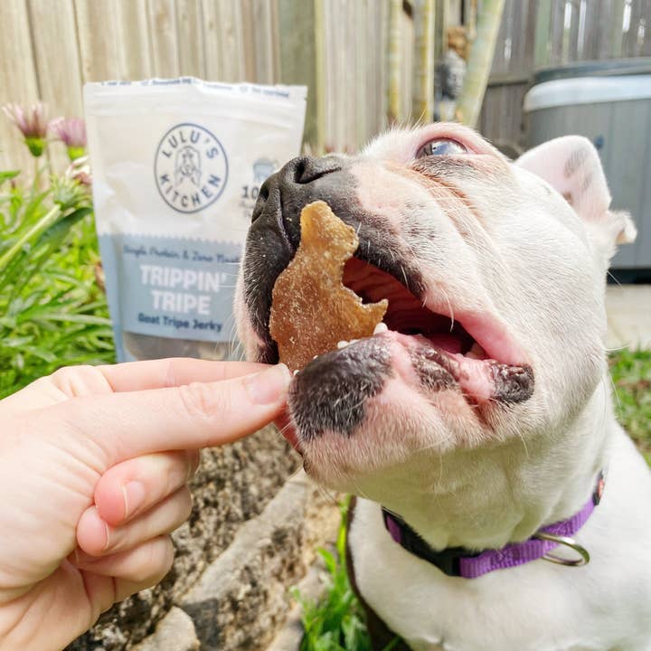 Rover Pet Products - Wholesale Pet Treats - Dog - Trippn’ Tripe - Goat Tripe2