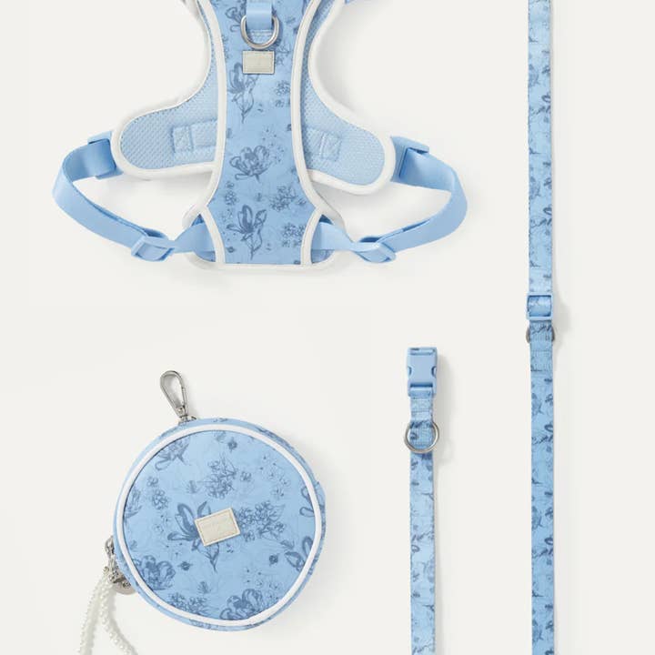 maxbone - Wholesale Pet Leash - Dog - Bridgerton x maxbone Walk Set for Dogs