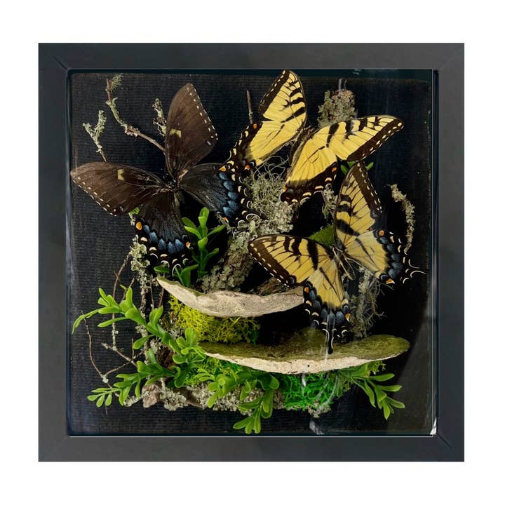 Diorama grande con forma de cola de golondrina con forma de tigre real, 11 x 11 x 5 pulgadas para venta al por mayor de Instar Innovations