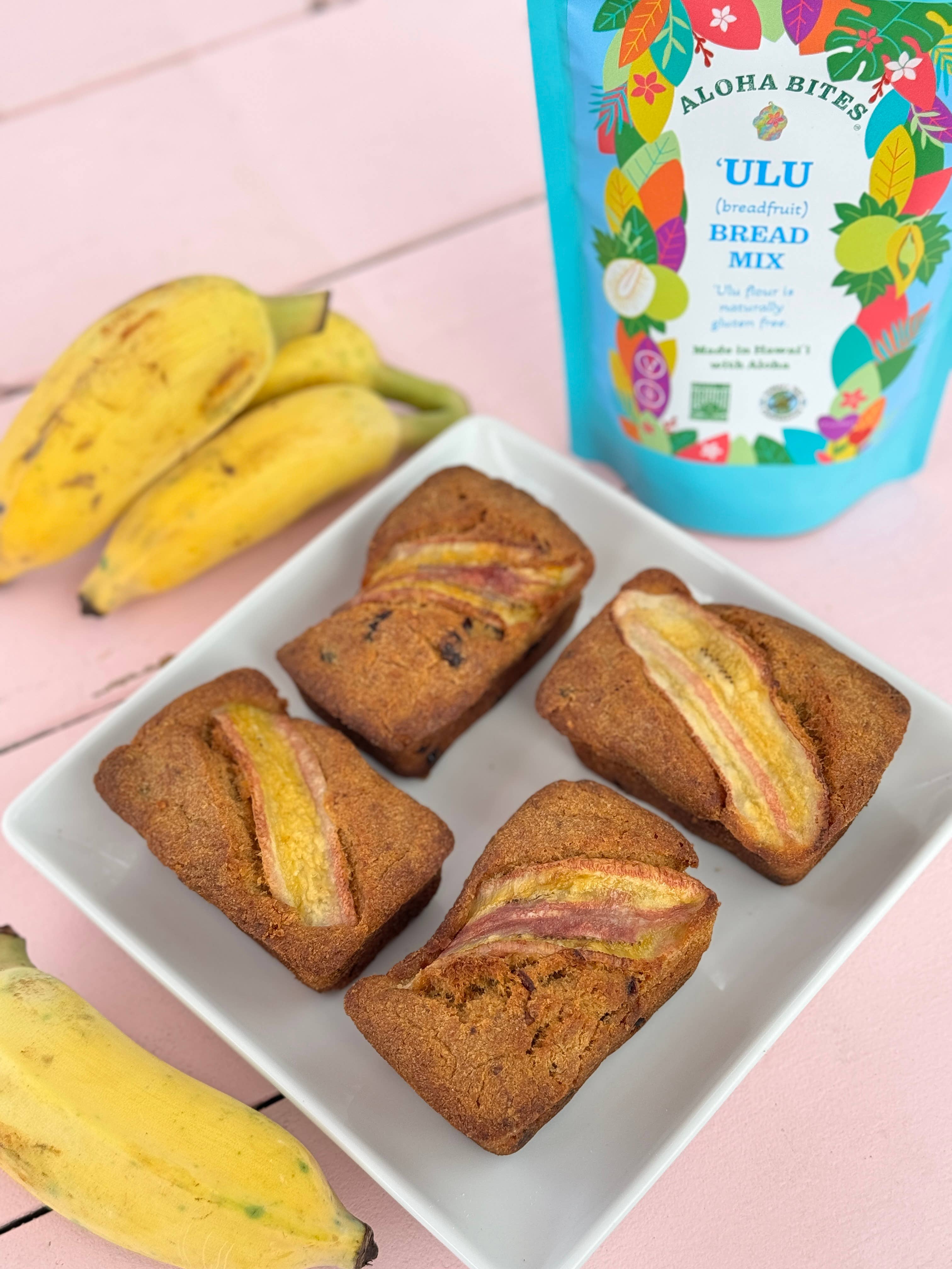 Aloha Bites - Wholesale Broodmix - (Breadfruit) ʻUlu Broodmix (GF/V)4