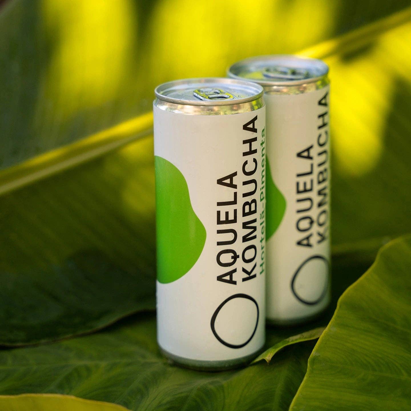 Geocakes - Vente Kombucha - Cette Kombucha Menthe Poivrée BIOlogique - Canette 250ml1