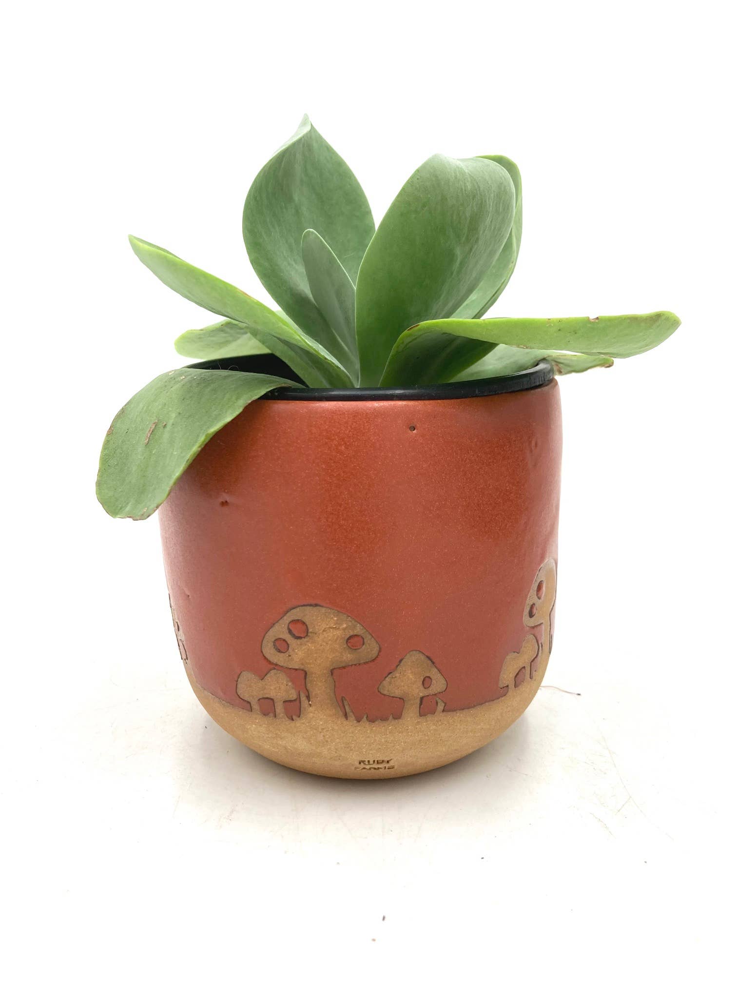 Ruby Farms Pottery - Vente Pot - Pot de taille moyenne en forme de champignon. Cache-pot/Planteur en céramique fait main et irrégulier.0