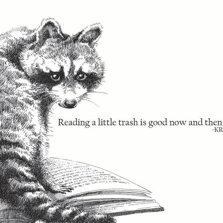 Karen Ritz Cards - Wholesale Everyday Greeting Card - Books & Beasts Raccoon Fun Notecard