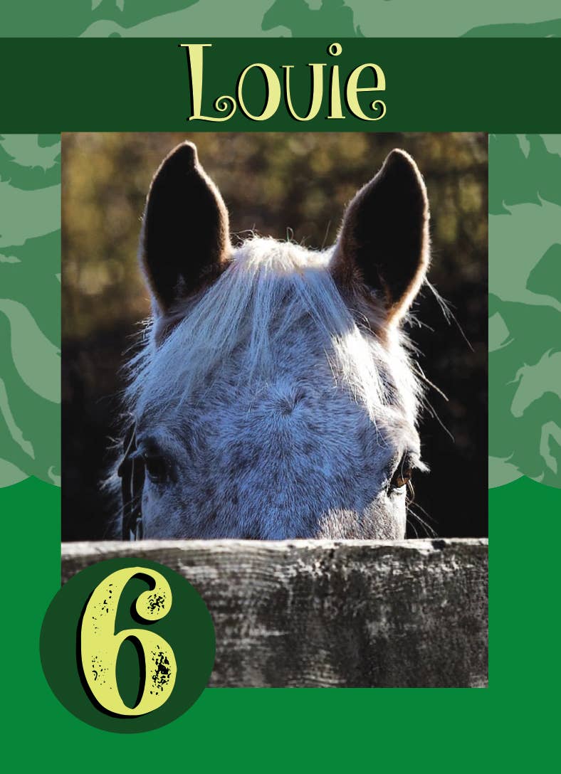 Horse Hollow Press | Pretty Snarky Equestrian Cards|Stickers - Wholesale Card Game - Fun Horse Go Graze Card Game for Kids & Families –Gift Ready13