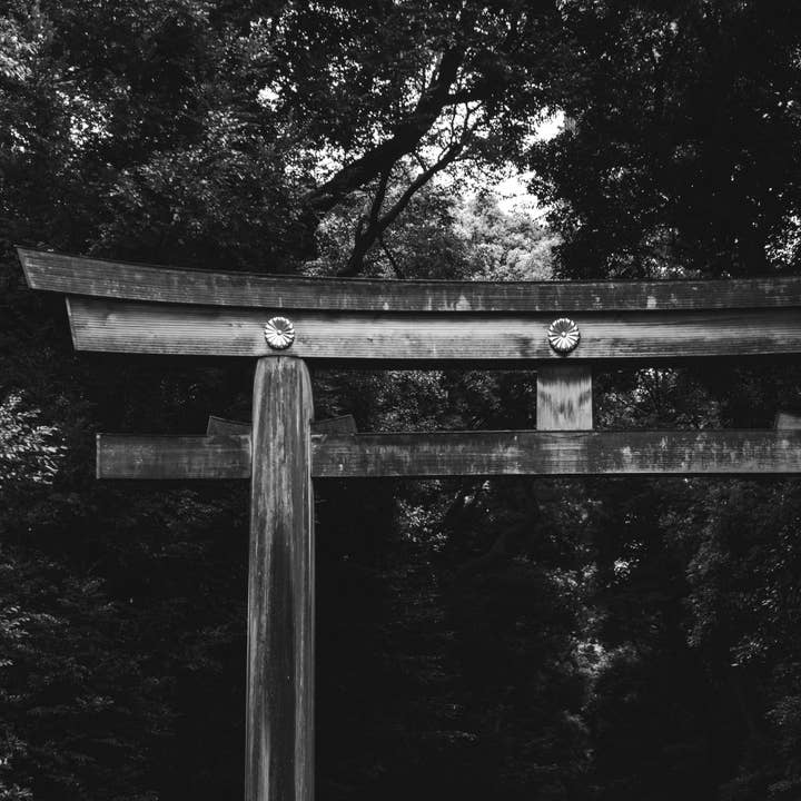 MIZU - Wholesale Fragrance Oil - TEMPLE All Natural Botanical Perfume Oil1