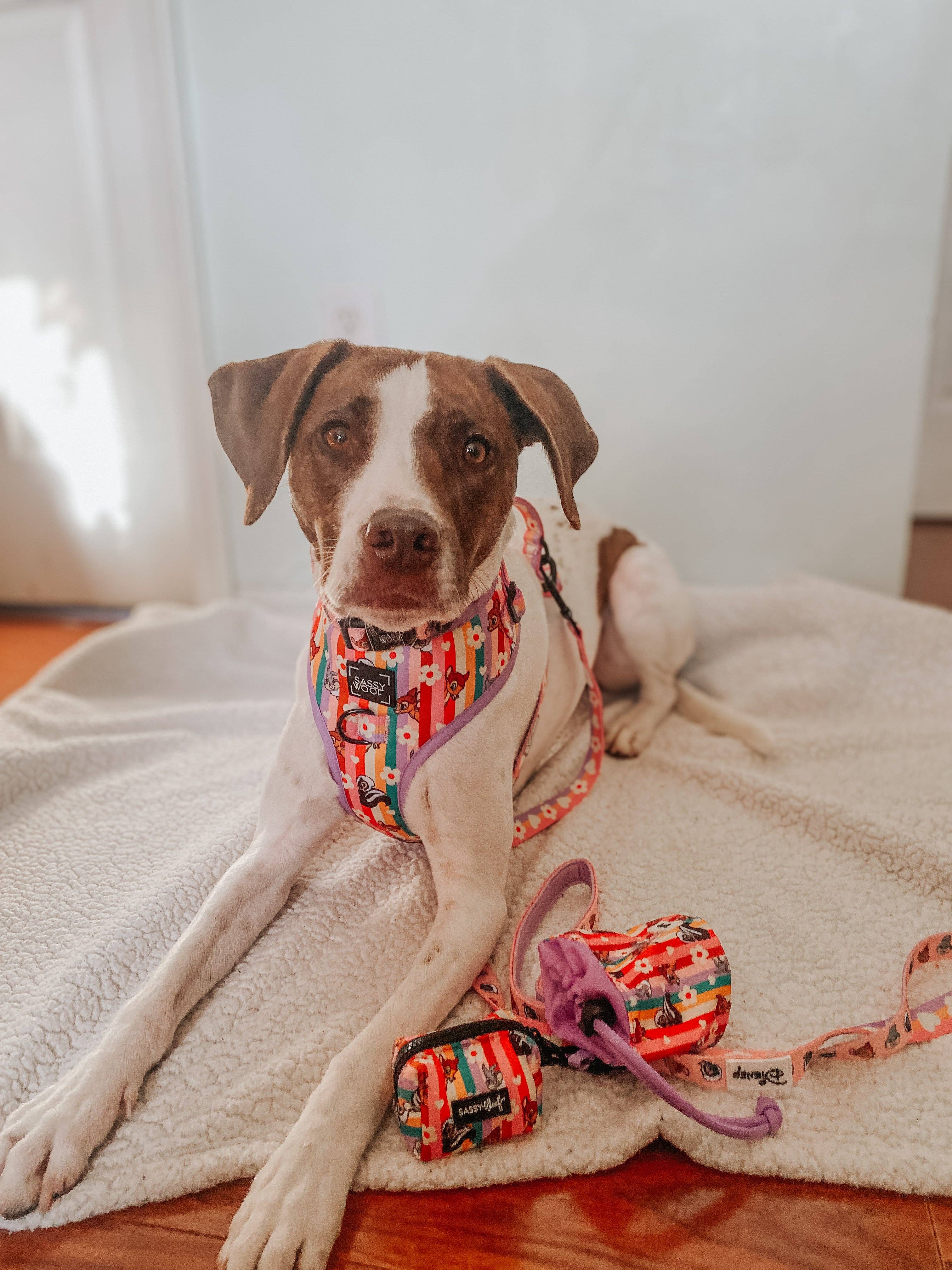 SASSY WOOF - Wholesale Pet Harness - Dog - Dog Adjustable Harness - Disney's Bambi6