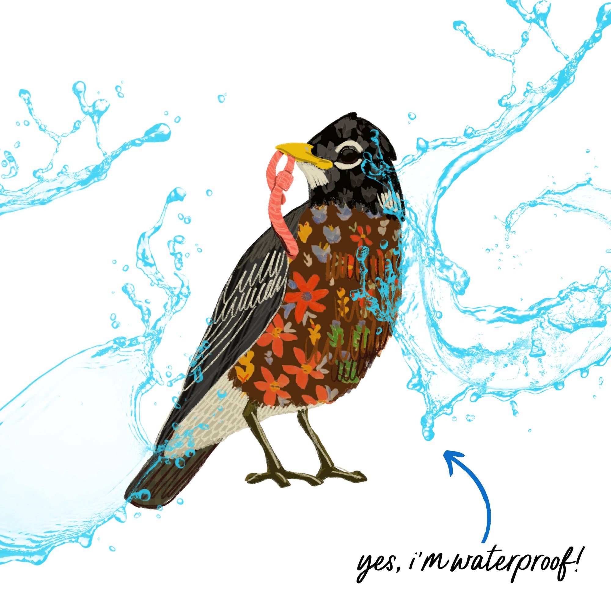 Laurenspired – Großhandel Aufkleber – Vinyl-Aufkleber, Vogelbeobachtungs-Aufkleber, Rotkehlchen-Geschenk2