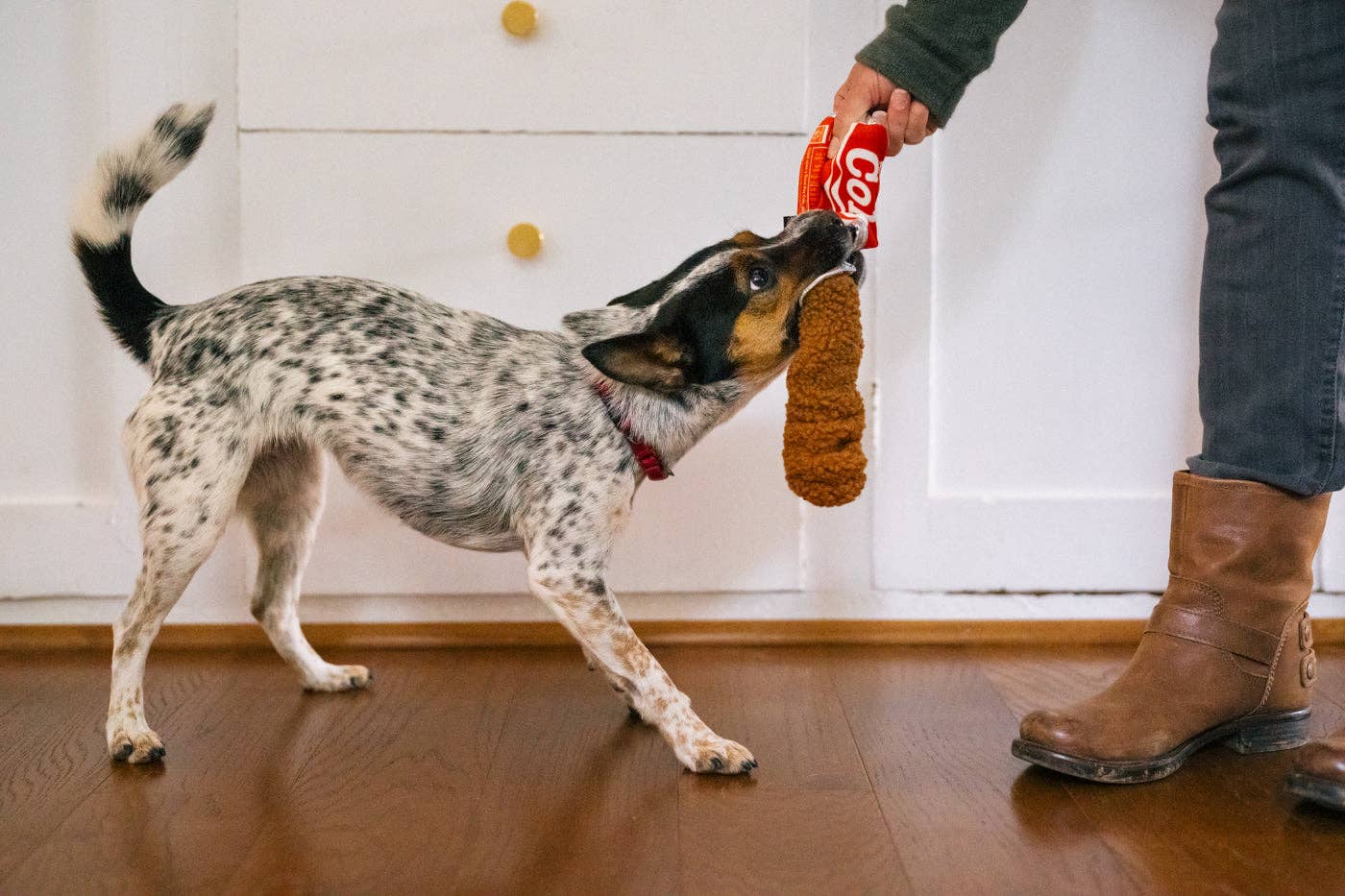 P.L.A.Y. Pet Lifestyle and You - Wholesale Pet Plush Toy - Dog - Snack Attack Good Boy Cola4