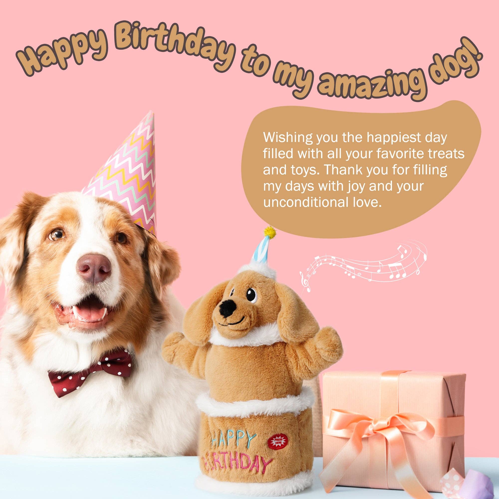 Nocciola – wholesale Pet plush toy – Dog – Fuzzwoof Singing and Dancing Birthday Cake Dog Toy9