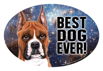 SJT Enterprises, Inc. - Vente Aimants - Boxer (oreilles coupées) (meilleur chien de tous les temps !)0