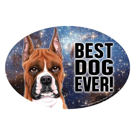 SJT Enterprises, Inc. - Vente Aimants - Boxer (oreilles coupées) (meilleur chien de tous les temps !)