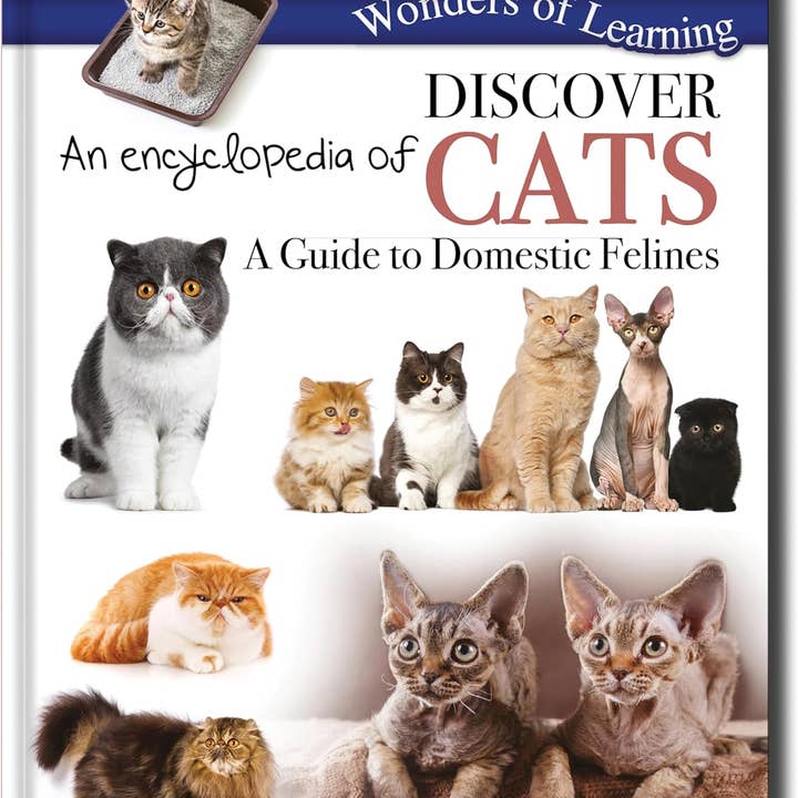 Descubra una enciclopedia de gatos: libro de referencia para niños para venta al por mayor de Robert Frederick Ltd