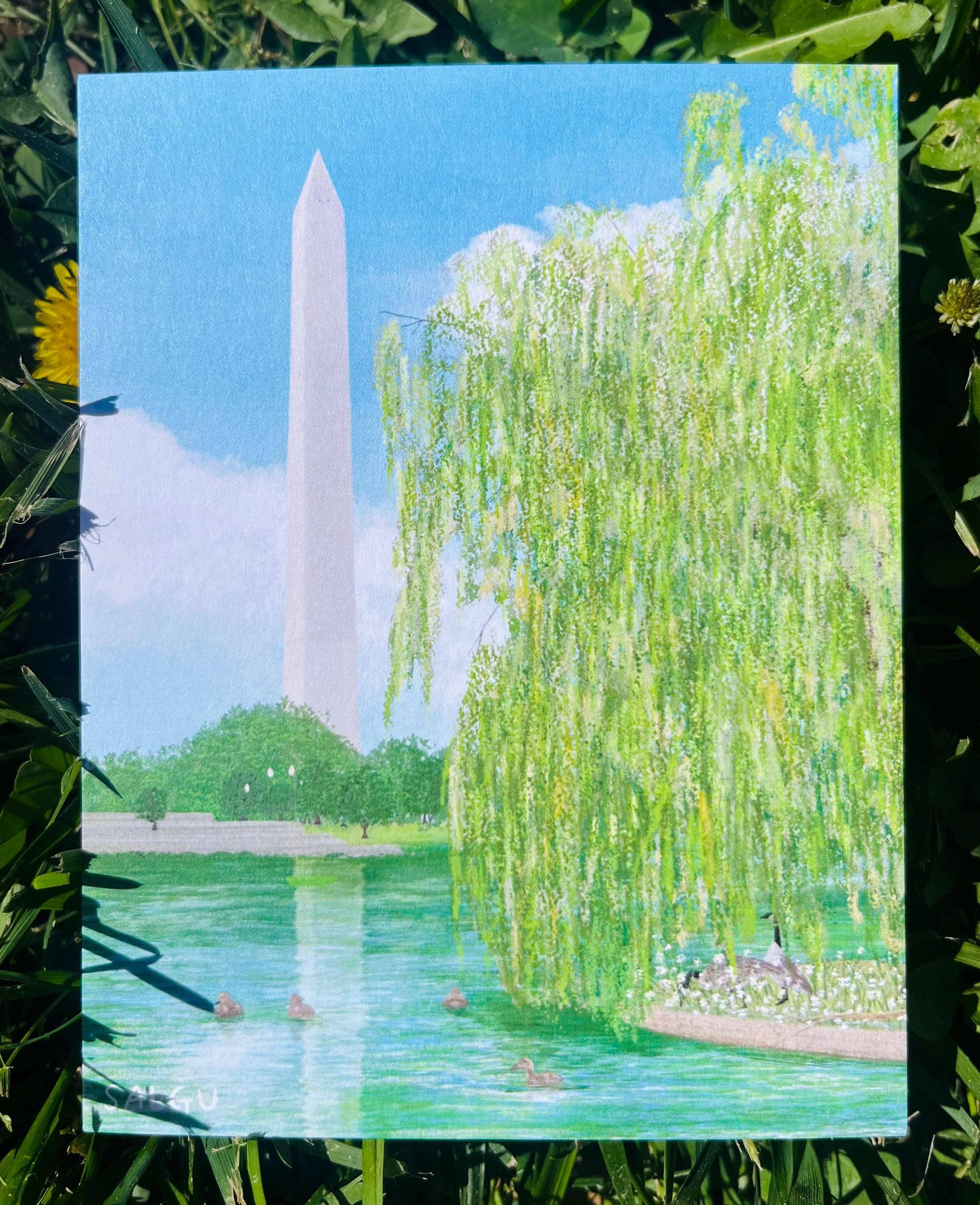 Salgu - Wholesale Postcard - Postcard - Washington DC from Constitution Gardens2