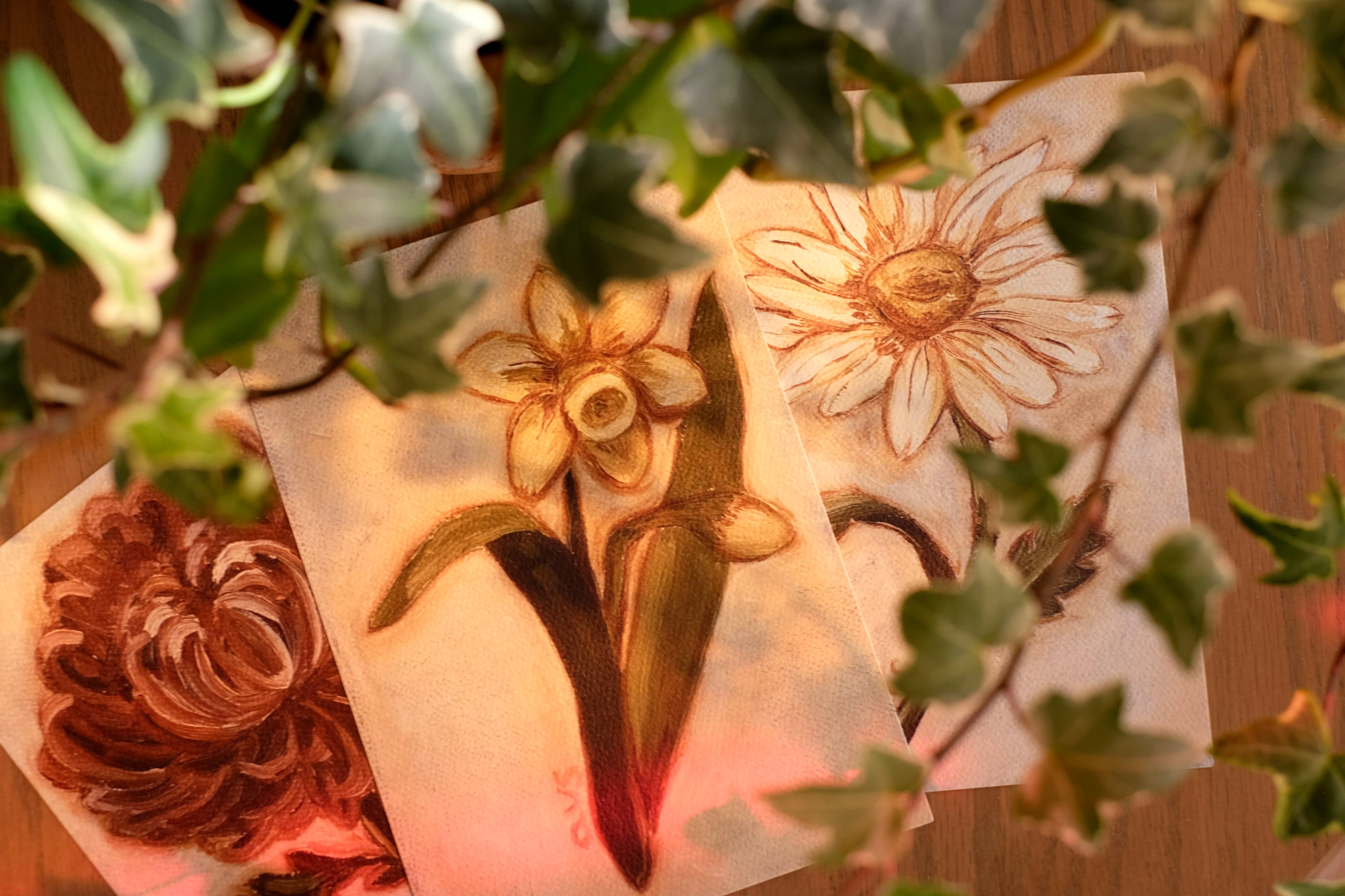 annalisa v. sawtell - Wholesale Art Print - January Birth Flower Fine Art Print | Carnation | 5x76