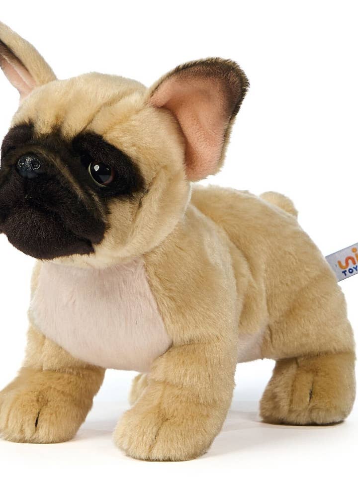 French Bulldog (beige) - cuddly/plush toy for wholesale by Uni Toys