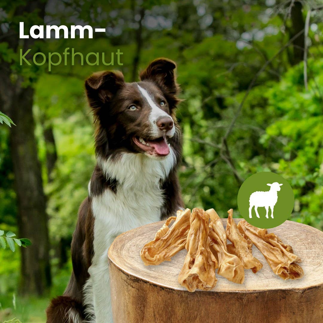 Kauartikel.com GmbH - Wholesale Pet Bone/Rawhide - Dog - lamb scalp1