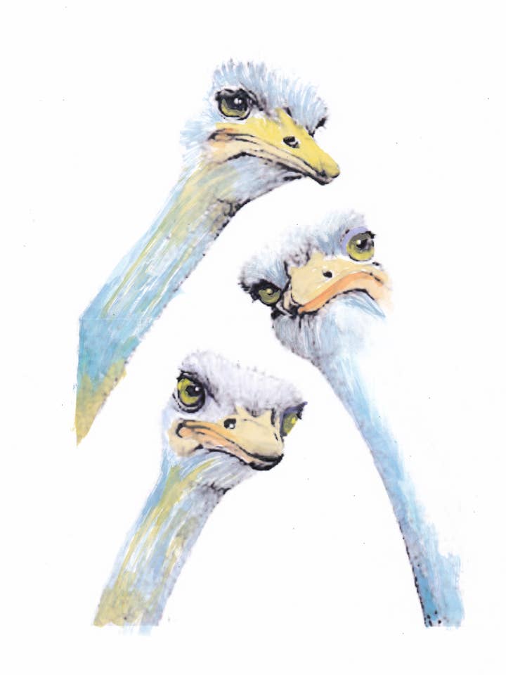 Large Note Card - Three Colorful Curious Ostriches for wholesale by Just Write Arts
