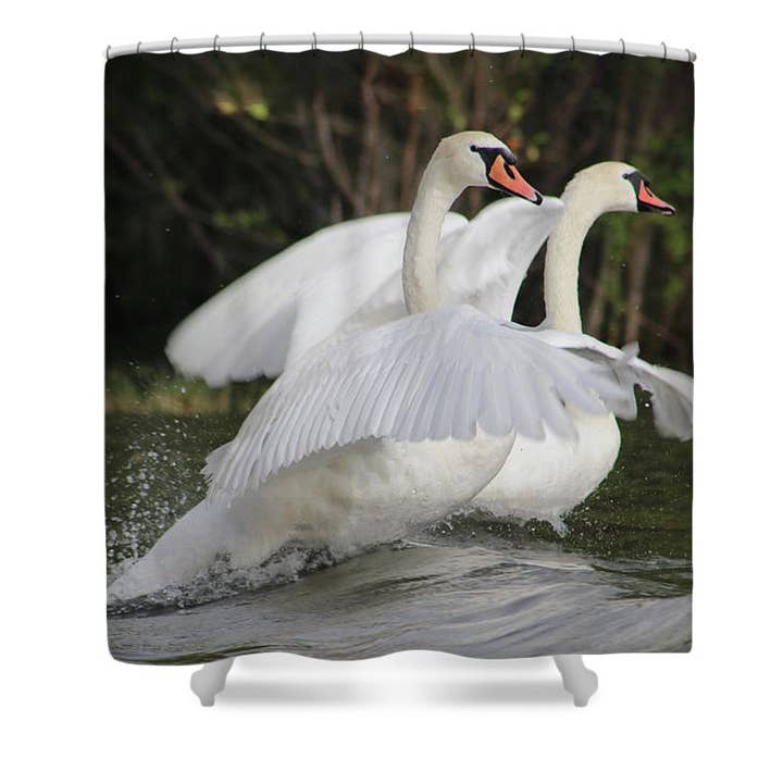 CORTINA DE CHUVEIRO “A CORRIDA DOS CISNES” por atacado de sorayadapuzzostore