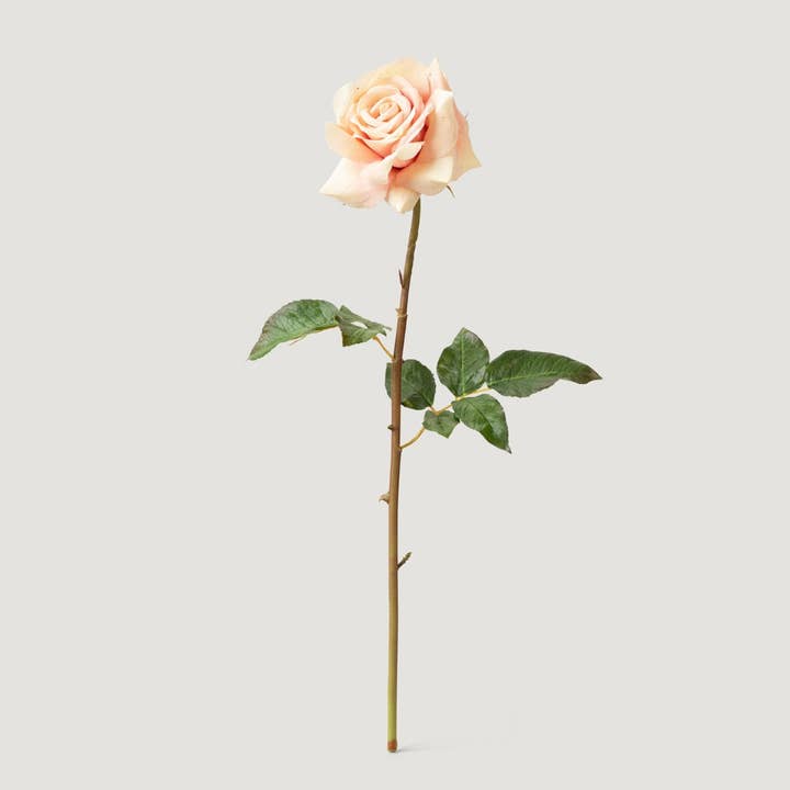 Real Touch Artificial Duchess Rose in Peach Dust- 20" for wholesale by Afloral