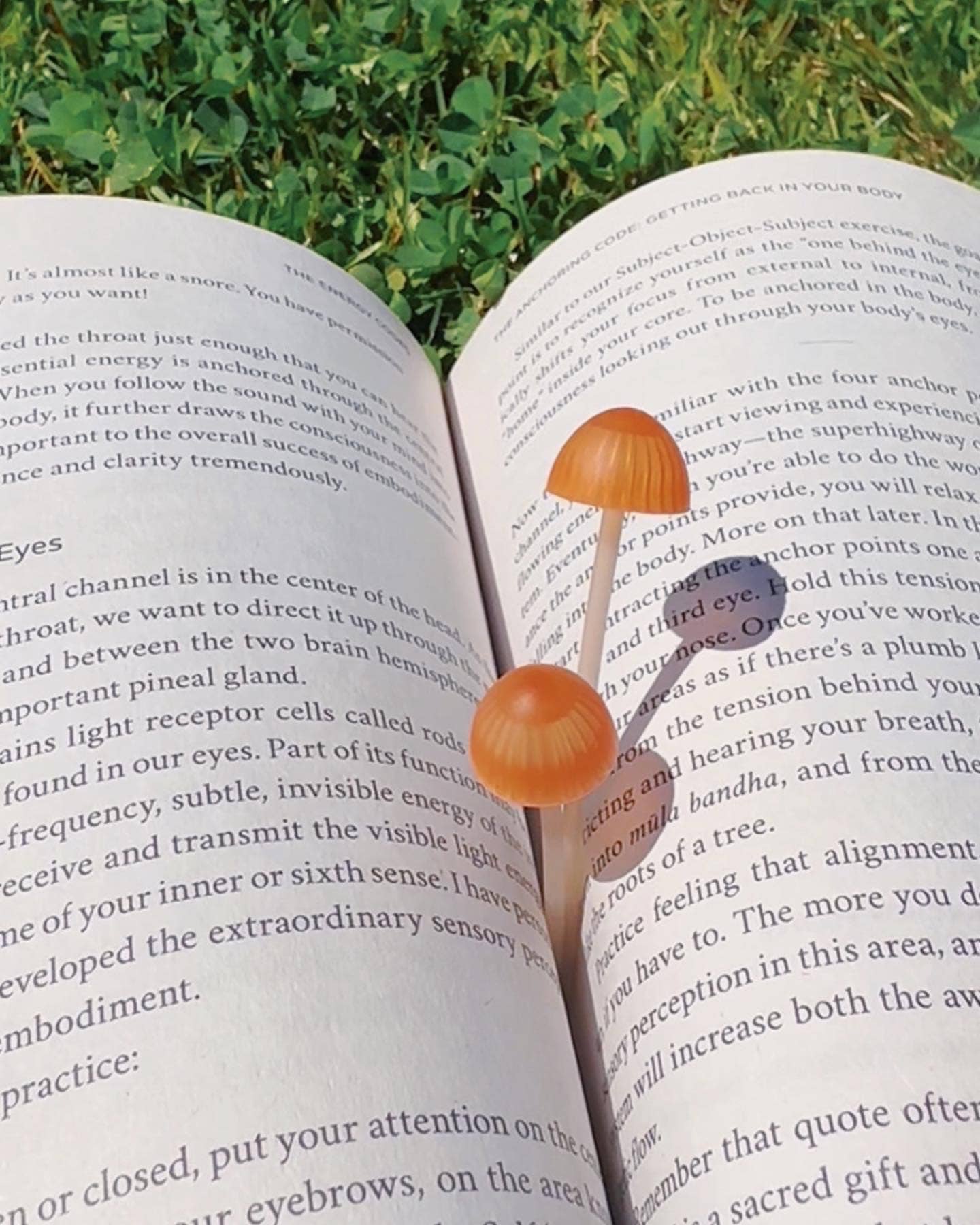 Fred & Friends - Wholesale Bookmark - Magic Sprout - Mushroom Bookmarks - Set of 47