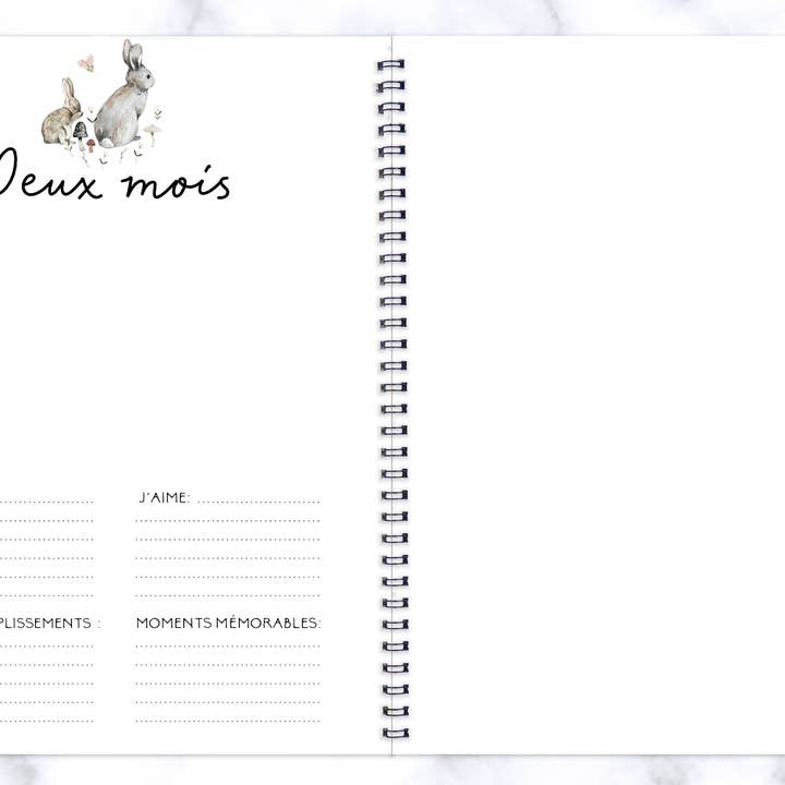 Rainbows&Lollipops Inc - Wholesale Memory Book - Kids & Baby - Journal de Grossesse et Livre de Naissance Unisexe #207