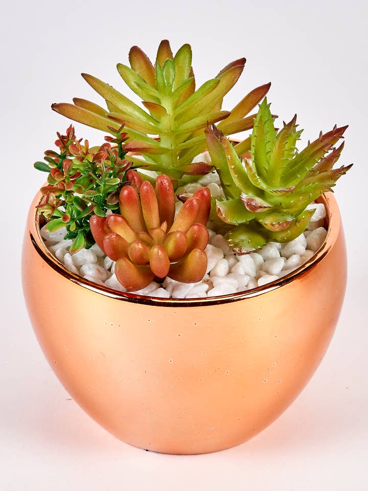 Succulents In 3.5" Diameter Gold Ceramic Pot for wholesale by WORTH IMPORTS