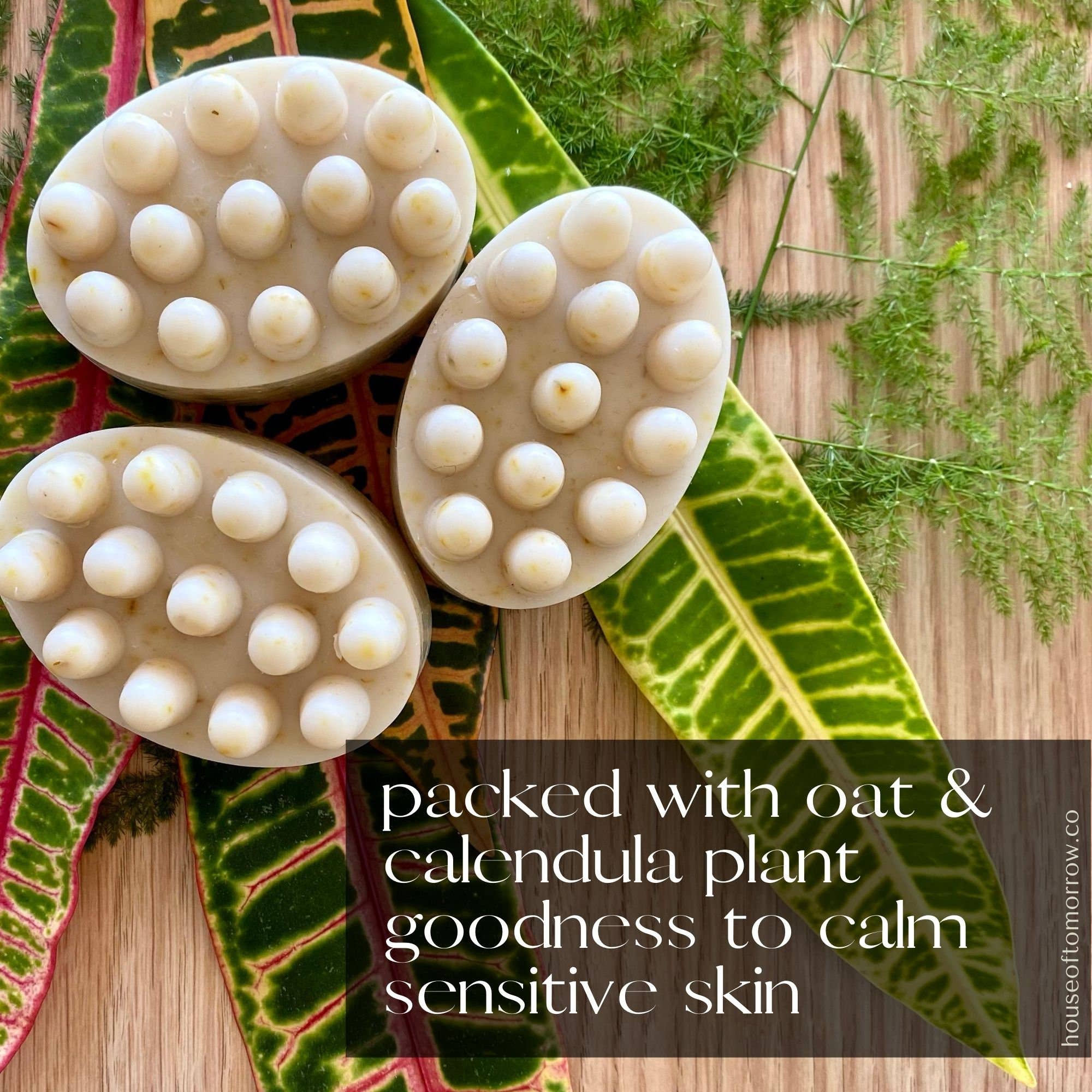 Sweet ʻŌkole Soap Co. - Wholesale Pet Shampoo - Dog - Natural Vegan Pet Soap Dog or Cat Shampoo Bar Non-Toxic4