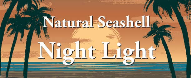 California Seashell Company - Wholesale Night Light - Colorful Irish Scallop Seashell Night Light1