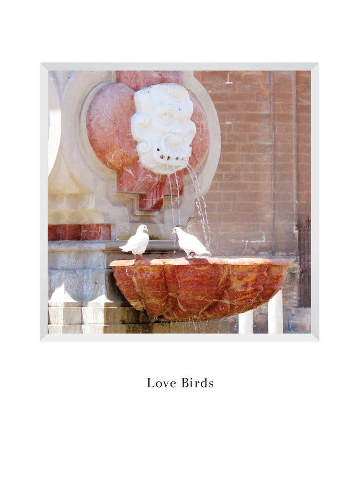 B596 - Vasca per uccelli per la vendita all'ingrosso da parte di Stonehenge Designs