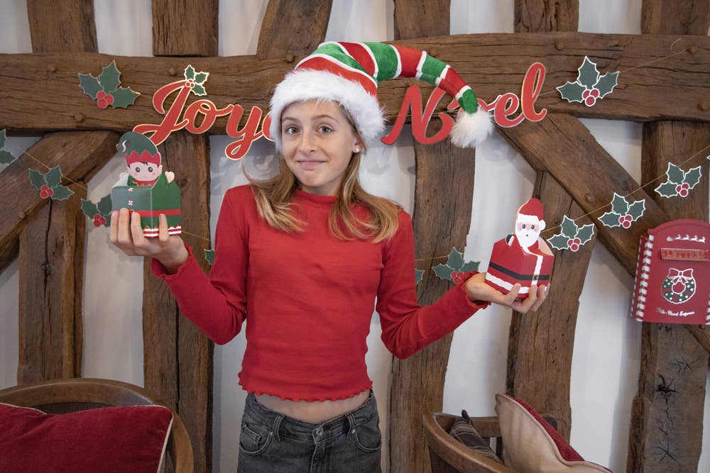 Tim&Puce Factory - Wholesale Christmas Decoration - SMALL SWEETY XMAS X4 BOXES7