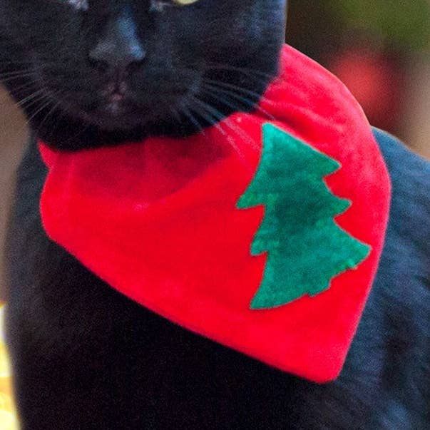 Kattebandana i klassisk juletræ for engroshandel hos Creature Clothes