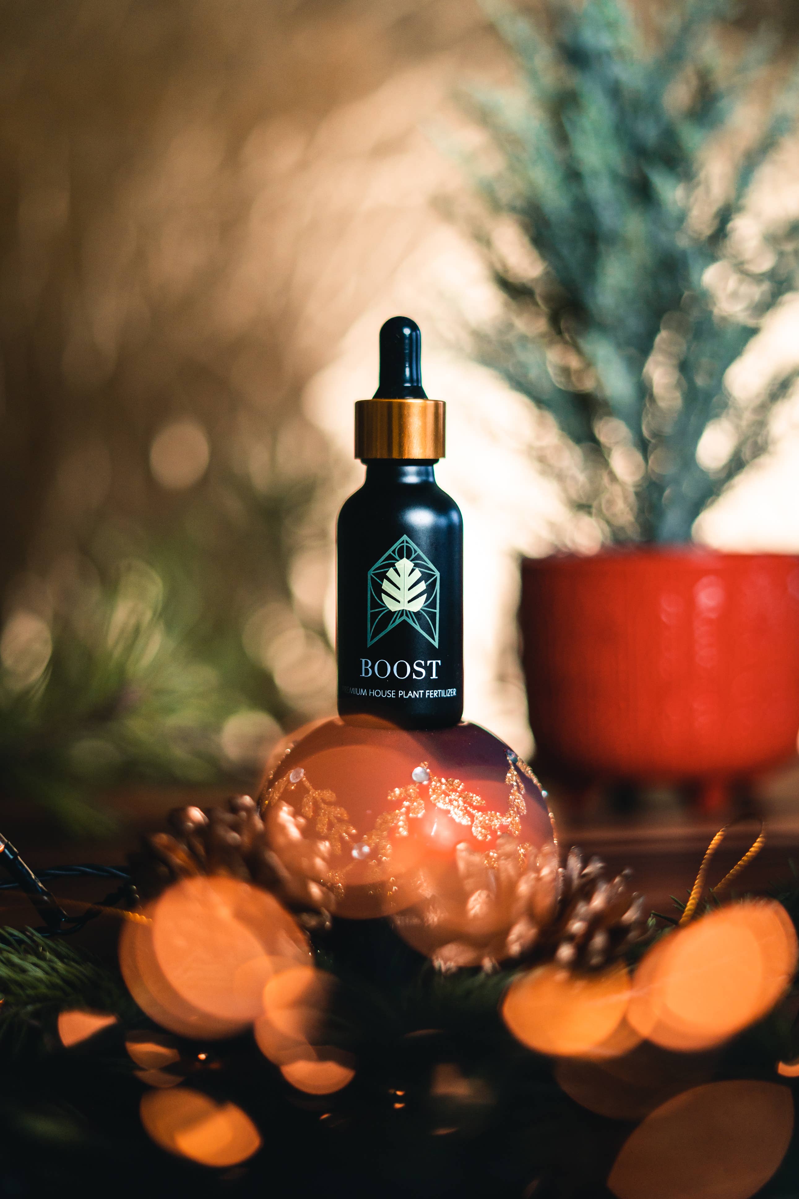 Plant Vitamins - Vente Engrais - Boost - Engrais biologique pour plantes de qualité supérieure2